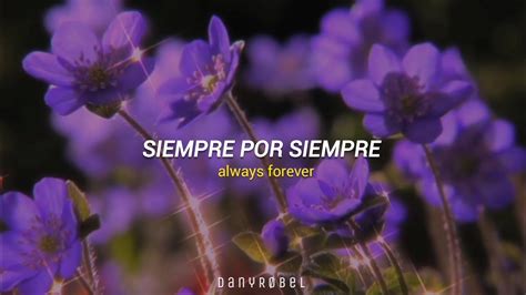 cults always forever|always letra español.